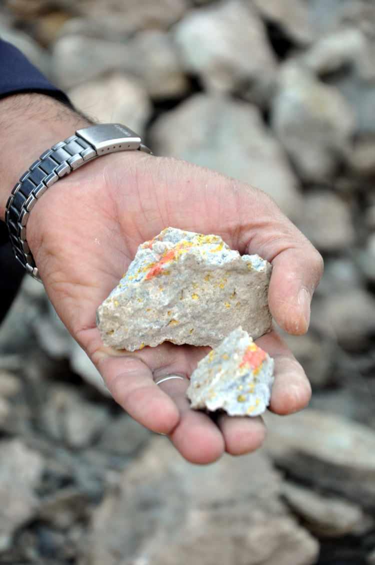 Ağrı'nın Mollakara köyünde 'altın' sevinci