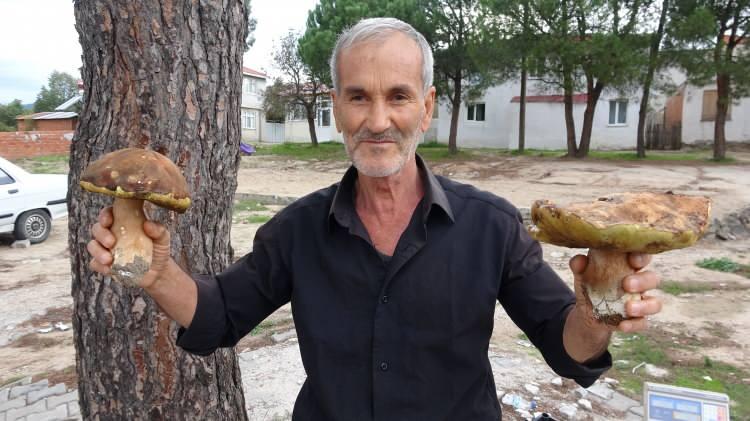 <p>Birisi ayı mantarı, öbürü de halk arasında kırmızı mantar diye geçer ama biz yörükçesinde melki deriz. Bu mantarları vatandaşlar yiyor. Yağışlar erken olunca, mantarlar da biraz daha erken çıkıyor. </p>
<p> </p>