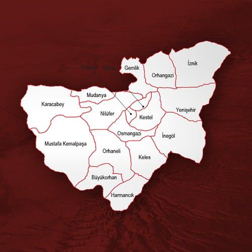 <p>Bursa</p>
