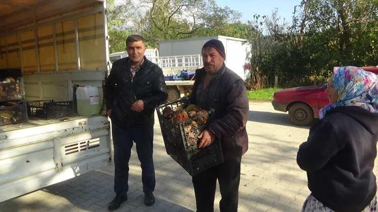 <p>Köylülerden Savaş Sezer, "Ayı mantarının kilosu 20 TL'den alınıyor. Bu sene yağmurun az yağması mantarın az olmasına neden oldu. Ama herkese yine de bir gelir kapısı oldu" dedi.</p>