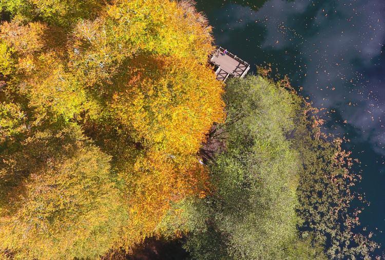 <p>"Orman denizi" olarak adlandırılan Yedigöller Milli Parkı ile "tabiatın kalbi" olarak nitelendirilen Gölcük Tabiat Parkı'nda sonbaharın büyüleyen güzellikleri yaşanıyor.<br />
Yüzde 65'i ormanlarla kaplı Bolu'nun doğal güzellikleriyle ünlü Yedigöller Milli Parkı ve Gölcük Tabiat Parkı, sonbaharla başka bir güzelliğe büründü.</p>
