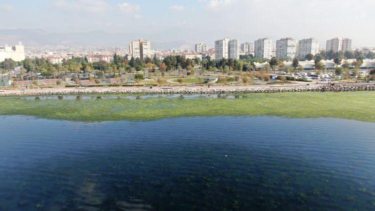 <p>'BU MANZARA İZMİR'E YAKIŞMIYOR'</p>

<p> </p>

<p>Denizdeki görüntünün İzmir'e yakışmadığını söyleyen Denizcan Tosun da, "Bostanlı'da daha önce böyle bir manzarayla karşılaşmadık. Bu manzarayı görmek beni çok üzdü. Yoğun bir koku da var. Çiğli tarafında yoğun bir çöp kokusu var" diye konuştu.</p>
