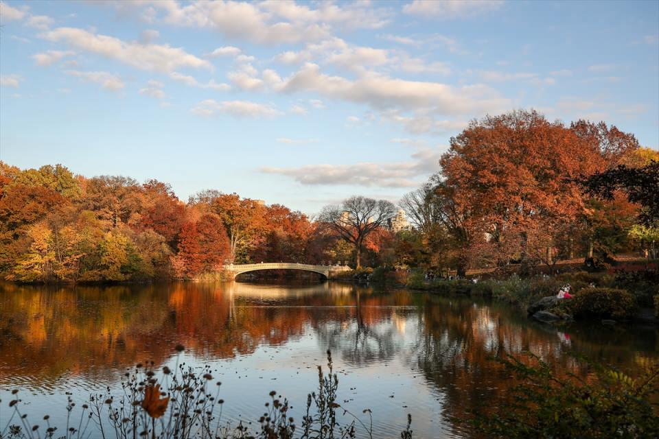 <p>ABD'nin New York kentindeki Central Park'da ağaçlar sonbahar mevsimiyle birlikte sarı, turuncu ve kırmızının tonlarına büründü. Central Park, doğanın tadını çıkarmak isteyenlerin akınına uğruyor.</p>
