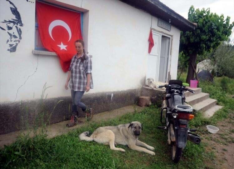 <p>Bilecik'te 70 hayvanla başladığı işini, aradan geçen 2 yıllık süreçte büyüten, sürüsünü koyunlarla zenginleştirerek hayvan sayısını 225'e kadar çıkaran Sarıkaya, köye 1 kilometre uzaklıkta 11 dönüm alanda tesis kurarak bölgeye katma değer sağlamayı sürdürüyor. AA ekibini, 2018 yılında yaptıkları haberin ardından yeniden konuk eden Elif Sarıkaya, "İki dil bilen Nişantaşı kızı köyde keçi güdüyor" haberini gören pek çok kişinin kendisini aradığını söyledi.</p>
<p> </p>