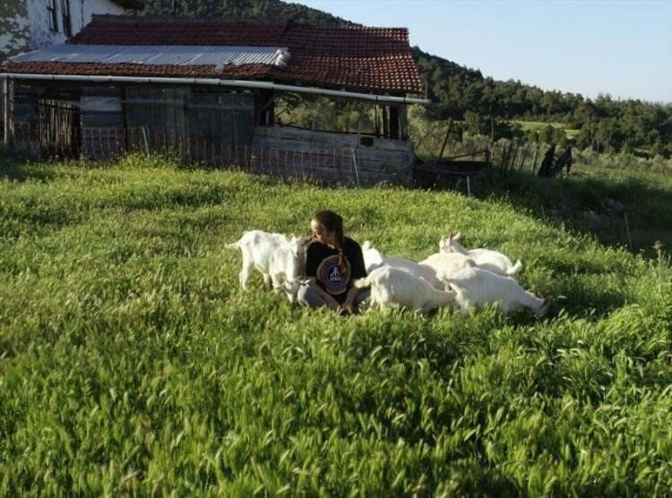 <p>Mutlu bir yaşam sürdüğünü vurgulayan Sarıkaya, "Adapazarı'ndan birisi, 'Tavuk çiftliğim var, ne yapayım?' diye sordu. 'Ankara'dan geliyoruz, sizi çok merak ettik' diyenler oldu. Çok tatlı insanlardı. Bu benim sosyal sorumluluğum. Onların alacağı hayvan için hangisine daha doğruyu anlatabilirsem o kadar iyiyim." dedi. Sarıkaya, keçi ve koyunlarıyla farklı bir sevgi içinde olduklarını dile getirdi. İnsanlara faydası dokunduğu için kendini mutlu hissettiğini anlatan Sarıkaya, şöyle konuştu:</p>