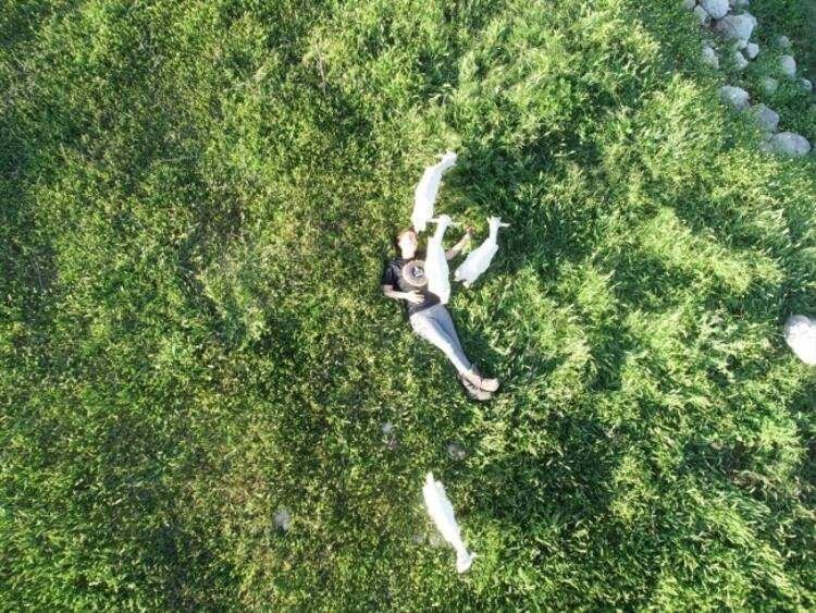 <p>"Hayvan sayımız bir hayli arttı, şu an 225 n&uuml;fus olduk. Koyun ekledik, az miktarda peynir &uuml;retimim var. Hayvanlarımla yine aşırı samimiyim. Koyunla biraz değişik ama kuzuyu ş&ouml;yle g&ouml;beğine dayıyorsun, &ccedil;ok g&uuml;zel oluyor.</p>

<p>&nbsp;</p>
