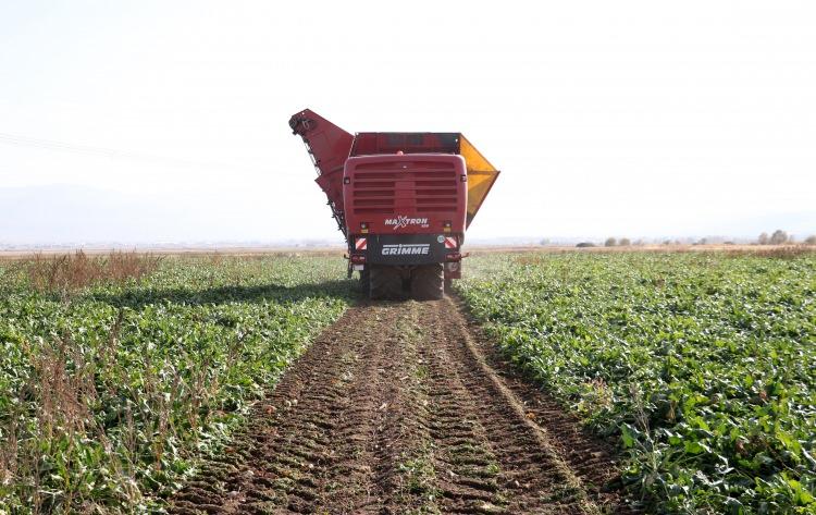 <p>Kentte 2 yıl &ouml;ncesine kadar azalan şeker &uuml;retimini canlandırmak i&ccedil;in harekete ge&ccedil;en fabrika y&ouml;neticileri, fabrika b&uuml;nyesinde Mezra Ziraat Anonim Şirketi'ni kurdu.</p>
