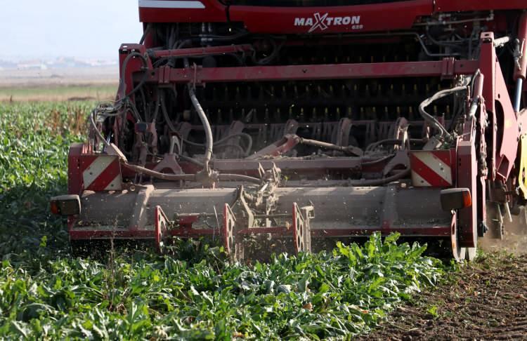 <p>- &Ccedil;ift&ccedil;iler desteklerle&nbsp;&uuml;lke ekonomisine katkı sunuyor</p>

<p>S&ouml;z konusu teşviklerle ekim yapmaya başlayan &ccedil;ift&ccedil;iler daha fazla&nbsp;pancar &uuml;retimi yaparak şeker ihtiyacını karşılarken, &uuml;lke ve aile ekonomisine de &ouml;nemli katkı sağlıyor.&nbsp;</p>
