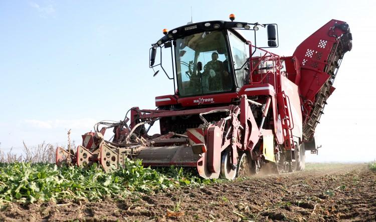 <p>Albayrak Grubu Mezra Ziraat AŞ Genel M&uuml;d&uuml;r&uuml; Ey&uuml;p Demir, AA muhabirine, Erzurum'da şeker pancarı ihtiyacını karşılamak i&ccedil;in şirket kurduklarını s&ouml;yledi.&nbsp;</p>
