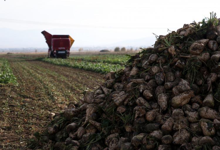 <p>&Ccedil;ift&ccedil;ilerden olumlu d&ouml;n&uuml;şlerin olduğuna işaret eden Demir, "&Ccedil;ift&ccedil;imiz &ouml;nceden bir d&ouml;n&uuml;mden aldığı 2 ya da 3 ton verimini şimdi 6-7 tona &ccedil;ıkardı. Bunun i&ccedil;in onların ve bizim y&uuml;z&uuml;m&uuml;z g&uuml;l&uuml;yor." diye konuştu.&nbsp;</p>
