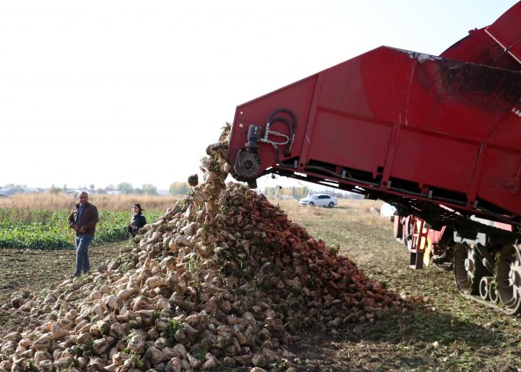 <p>- Fabrikanın &uuml;retim kapasitesi artırıldı</p>

<p>Daha &ouml;nce 300 bin ton pancar işleyen fabrikanın bu yıl 500 bin ton pancar işleyerek 65 bin ton şeker &uuml;reteceğini bildiren Karavaizoğlu, "Biz &ccedil;ift&ccedil;inin maliyetinin y&uuml;zde 50'sini finanse ediyoruz, dolayısıyla pancarı aldığımızda y&uuml;zde 50'sini biz &ouml;demiş oluyoruz. Bu sene Almanya'dan 3 pancar y&uuml;kleme makinesi aldık. Tarladan pancarları alıyoruz ve fabrikaya nakliyesini biz yapıyoruz. Bundan dolayı da &ccedil;ift&ccedil;imizden herhangi bir para talep etmiyoruz." ifadelerini kullandı.</p>
