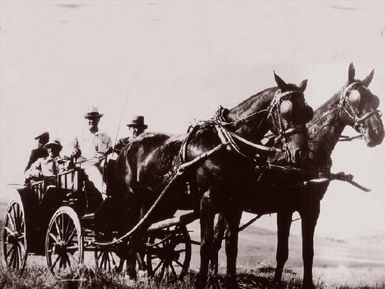 <p>Bunun üzerine Atatürk, 1915'te Esat Paşa komutasındaki 3. Kolordu'ya bağlı Tekirdağ'da oluşturulacak 19. Tümen Komutanlığına atandı.</p>

<p> </p>
