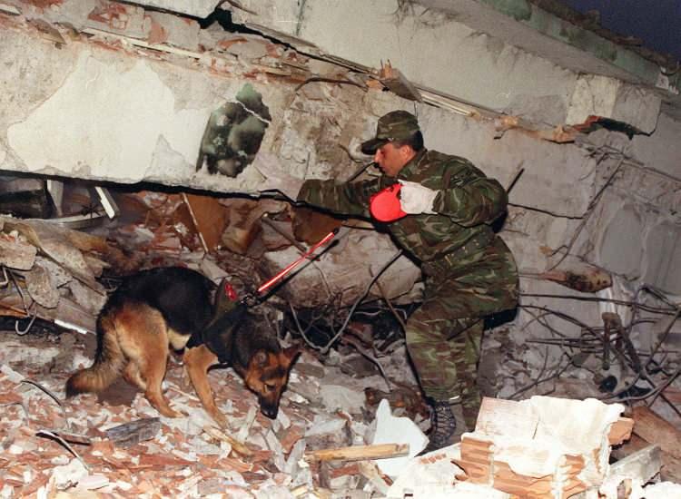 <p>Deprem döneminde Bolu'ya bağlı bir ilçe olan Düzce, 9 Aralık 1999'da Bolu'dan 6 ilçeyle beraber ayrılarak il statüsüne kavuştu ve 170 bin olan nüfusunu aradan geçen 21 yılda 392 bine çıkardı.<br />
<br />
<em>FOTOĞRAF: Deprem sonrası başlatılan arama kurtarma çalışmalarına katılan arama kurtma ekipleri ve köpekleri ile.</em></p>

<p> </p>
