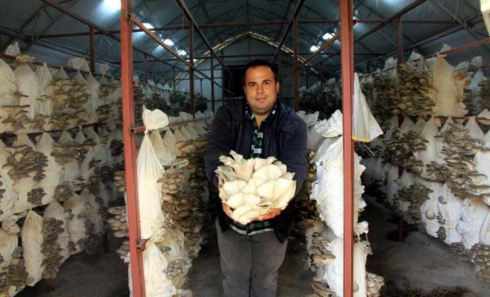 <p>Bir arkadaşımda tattım ve beğendim. Daha sonra da ek gelir olması açısından bir yer yaparak bu işe başladım. Şu an profesyonel anlamda üretimimizi yapıyoruz. Paketleme üzerine de bir çalışmamız var. Hedefimiz, biraz daha büyüyüp, kapasitemizi artırmak ve ardından da piyasaya açılmak" diye konuştu.</p>