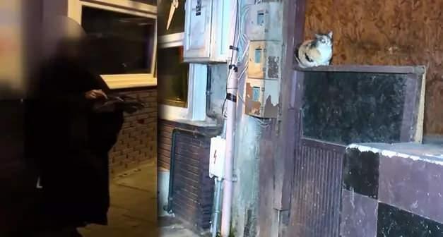 Korkun&ccedil; itiraf! Kedileri kesip yiyormuş!