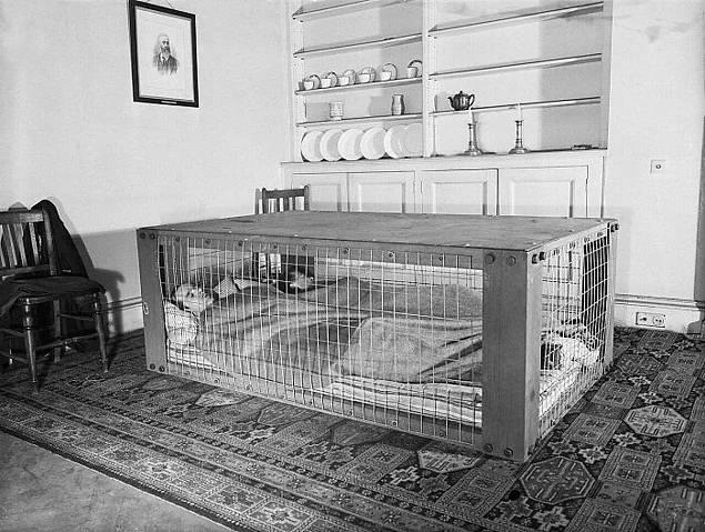 <p>İkinci Dünya Savaşı sırasında bombalardan korunmak için kafesin içinde yatan bir çift. Mart 1941.</p>