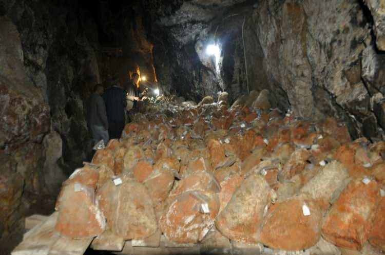 <p>Şu an yaklaşık 40 ton ürettiğimiz peynirin yüzde 80'i daha mağaradan çıkmadan satılıyor. O nedenle de kapasite artırımına giderek, 60 yıldır kullanılmayan mağarayı da peynirlerin olgunlaşmasını beklemek için kullanacağız. </p>