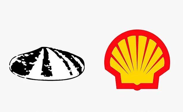 <p>Shell</p>
