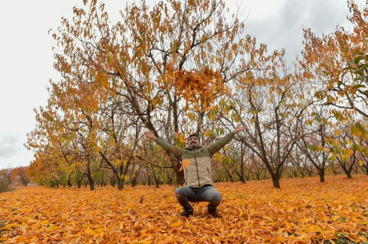 <p>Bursalı fotoğraf sanatçısı Şaban Kılıçcı ise hayranlık oluşturan doğadaki renk cümbüşü ile doğal güzellikleri fotoğrafladı.</p>
