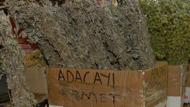 <p>Açıklamanın ardından aktarlarda bu sabah saatlerinden itibaren hareketlilik başladı. Bazıları erkenden gelip ebegümeci ve adaçayı alıp deneyeceğini söylerken, bazı vatandaşlar ise bilmedikleri otları kullanmayacaklarını belirtti. Aktarlarda ebegümecinin kilogramı 150 liradan, adaçayının kilogramı ise 50 liradan satılıyor.</p>