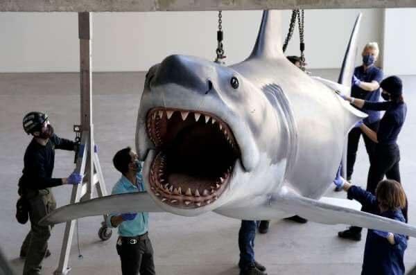 <p>ABD’li ünlü yönetmen Steven Spielberg’ün 1975 yapımı “Jaws” filminde kullandığı dev köpekbalığı maketi Angeles’taki Sinema Akademi Müzesi’ne yerleştirildi. Yarım ton ağırlığındaki dev köpekbalığı ilgi odağı oldu.</p>

<p> </p>
