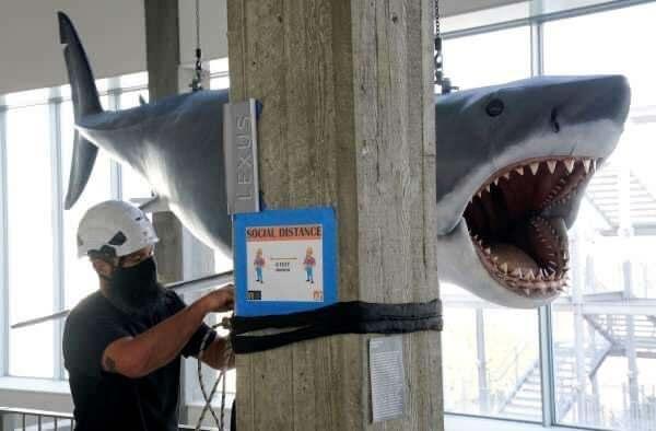 <p>ABD’de gösterime girdiği an 100 milyon dolar gelir elde eden ilk sinema film olarak bilinen Jaws’ta kullanılan ve "Bruce" adı verilen yarım tonluk dev köpekbalığı maketi, 45 yıl sonra restore edilerek yenilendi. </p>
