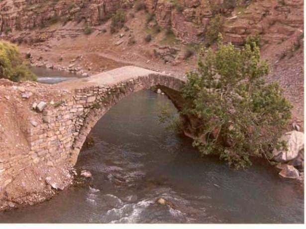 <p>ŞIRNAK</p>

<p>529.615 kişi</p>
