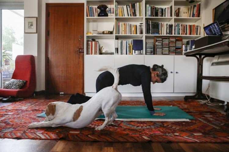 <p>Salgında G&uuml;ney Kıbrıs'ta evinde yoga yapan bir kadın ve ona eşlik eden k&ouml;peği</p>
