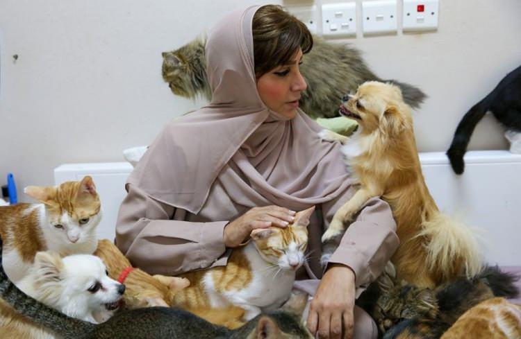 <p>Umman’ın beşkenti Masket’ta yaşayan Maryam al-Balushi adlı kadın evini yarıma muhtaç olan kedi ve köpeklere açtı. A-Balushi, şu anda evinde 480 kedi ve 12 köpek ile birlikte yaşadığını ve onlarla insanlardan daha yakın bağ kurabildiğini söyledi.</p>

<p> </p>
