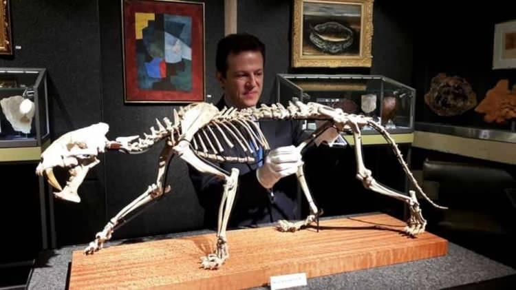 <p>Güney Dakota'da keşfedilen fosilleşmiş iskeletin, gergedanları avlayan yaklaşık 160 kilogram ağırlığındaki bir Hoplophoneus'a ait olduğu aktarıldı.</p>
