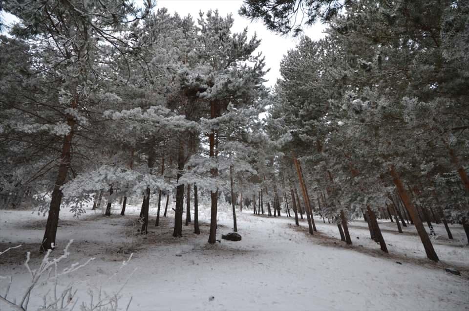 <p>Kentte hava sıcaklığının sıfırın altında 8 dereceye d&uuml;şmesiyle ağa&ccedil;lar ve diğer bitkiler beyaza b&uuml;r&uuml;nd&uuml;. Soğuk havanın etkisiyle oluşan kırağı da g&uuml;zel g&ouml;r&uuml;nt&uuml;ler oluşturdu.&nbsp;&nbsp;</p>

<p>&nbsp;</p>
