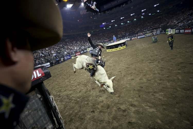 <p>ABD'nin New York kentinde "Profesyonel Rodeocular" oluşumu tarafından düzenlenen Rodeo şovu, Madison Square Garden'da başladı. Ünlü spor sahasını bir arenaya çeviren rodeocular, yüzlerce kiloluk boğaların üzerinde gösteri yaptı.</p>
