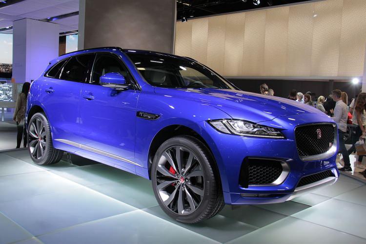 <p><strong>JAGUAR</strong></p>

<p>193</p>
