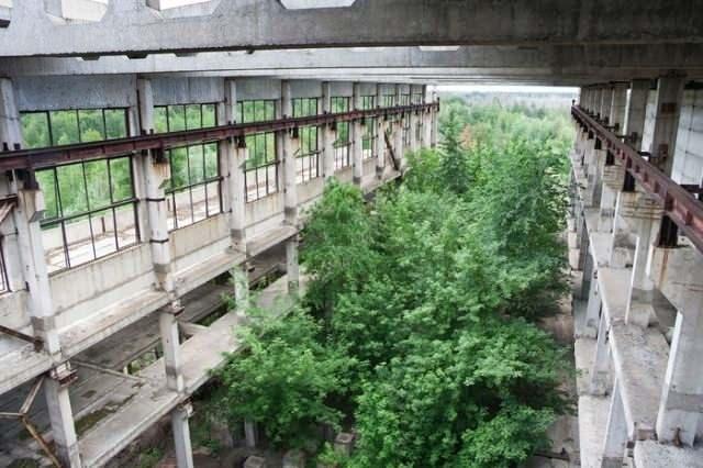 <p>Voronezh bölgesindeki bir sanayi binasının kalıntıları</p>