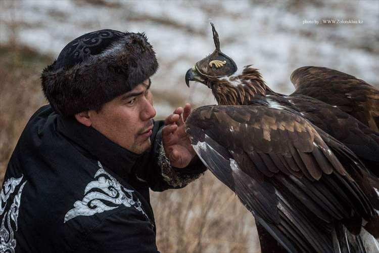 <p>Turnuvanın ilk günü kartalların 500 metreye kadar uçma ve komutlara uyum gibi yetenekleri sergilendi. İkinci günde finale kalan yarışmacılar, kartallarının avlanma yeteneklerini yarıştırdı.</p>

<p> </p>
