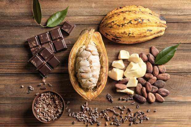 <p>Kakao yüzyıllar önce ilaç olarak da kullanılan şimdilerde ise birçok hastalığın tedavisinde tercih edilen mucizevi bir besindir. Özellikle damarları temizlemede etkin rol oynayan kakaonun onlarca farklı kullanımı vardır. </p>

<p> </p>
