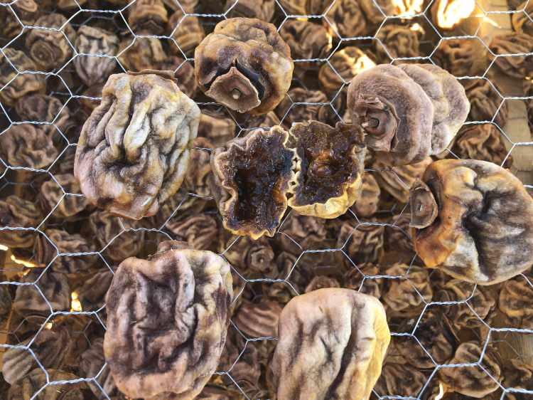 Eşinin çamaşır kuruttuğu ipte hurma kuruttu hayatı değişti