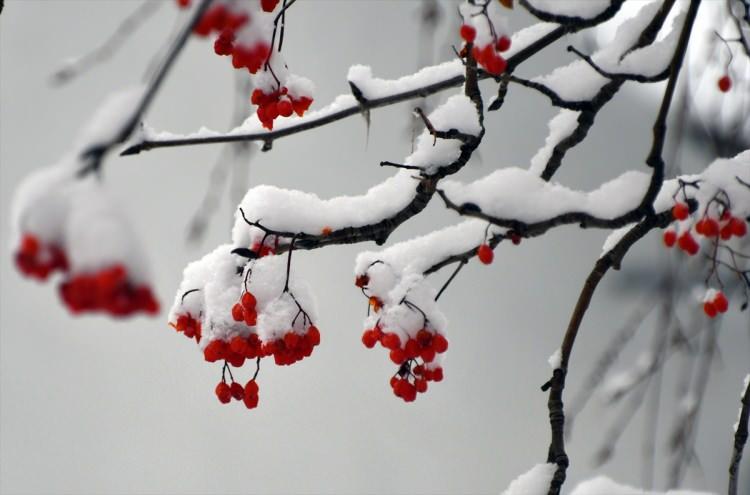 <p>Kars'ın Sarıkamış il&ccedil;esinde etkili olan kar yağışı etrafı beyaza b&uuml;r&uuml;d&uuml;.</p>

<p>&nbsp;</p>
