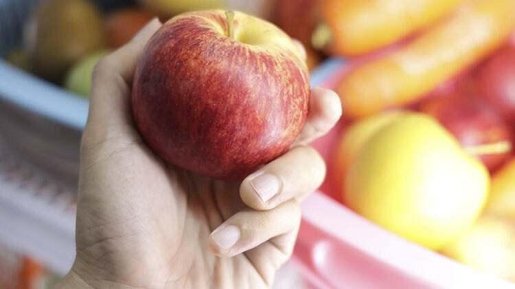 <p><strong>Elmalı turta yaparken en çok dikkat etmeniz gereken püüf noktalarından biri doğru elma seçimi yapmaktır. </strong></p>

<p><strong>Çünkü elmalı turtanın iç dolgusu dış kabuğundan çok daha önemlidir. Bu yüzden elma seçerken elma türünü doğru seçmeniz gerekir.</strong></p>
