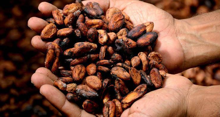<p>-Kakao, kronik hale gelen stresi yenmenize yardımcı olacak potasyum bakımından zengindir.</p>

<p> </p>
