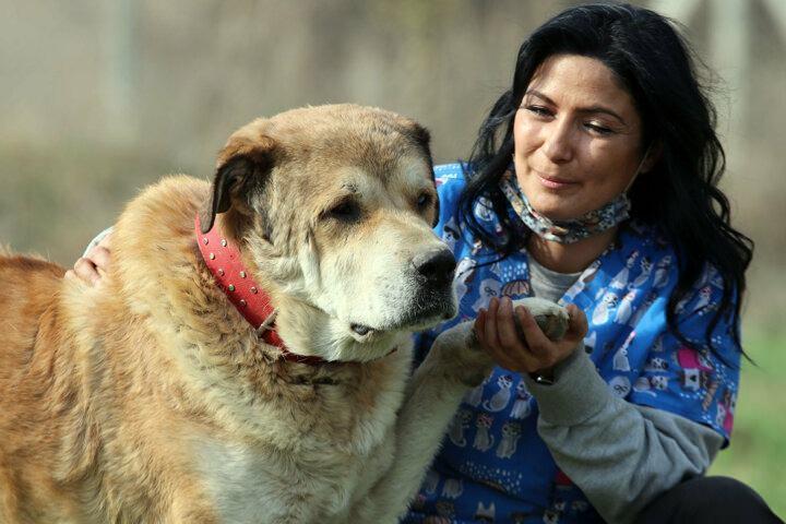 <p>K&ouml;peği hayata d&ouml;nd&uuml;r&uuml;p yeniden sağlığına kavuşturmanın kendisi i&ccedil;in &ccedil;ok b&uuml;y&uuml;k bir mutluluk olduğunu vurgulayan K&uuml;&ccedil;&uuml;k, ş&ouml;yle devam etti:</p>
