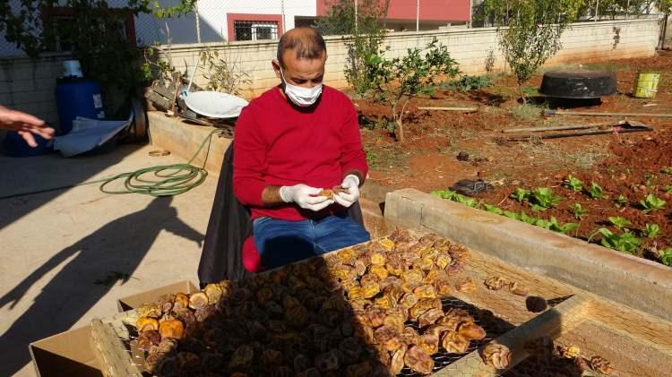 Eşinin çamaşır kuruttuğu ipte hurma kuruttu hayatı değişti