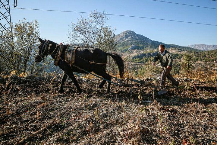 <p>Aileler s&uuml;rekli farklı alanlarda ağa&ccedil; kestikleri i&ccedil;in &ccedil;adırlarını yanlarında taşımak zorundalar. Akseki Orman İşletme M&uuml;d&uuml;rl&uuml;ğ&uuml;ne bağlı olarak orman kesim alanlarında &ccedil;alışan iş&ccedil;ilerin mesaisi sabahın ilk ışıklarıyla başlıyor. Sık ağa&ccedil;ların bulunduğu ormanlık alanlarda seyreltme amacıyla ağa&ccedil;ları kesen iş&ccedil;iler ardından odun ve tomruk &ccedil;ıkartıyor.</p>

