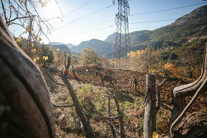 <p>Antalya&rsquo;nın Serik il&ccedil;esinden Akseki&rsquo;ye gelen 56 yaşındaki Fatma Ateş de ekmeklerini bile kendilerinin yaptığını s&ouml;yledi. Ateş, "Yağmur ve kar yağdığı zaman işimiz &ccedil;ok zorlaşıyor. Ge&ccedil;imimizi sağlamak i&ccedil;in bunca zahmete katlanıyoruz. Bir alandaki işimiz bitince başka bir yere &ccedil;adırımızı kuruyor ve orada &ccedil;alışıyoruz. Evimizi s&uuml;rekli taşımak zorundayız" diye konuştu.</p>
