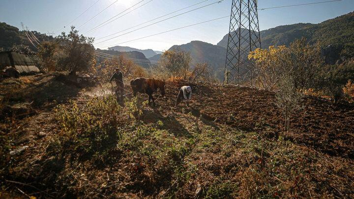 <p>&Ccedil;adırda yaşamın zorlu olduğuna dikkati &ccedil;eken Ateş, "Hayatımız ormanlarda ge&ccedil;iyor. &Ccedil;alışmaktan doktora bile gidemiyoruz. İşimiz &ccedil;ok ağır ve zahmetli. Yazın yaylalara ladin ağa&ccedil;ları kesmeye gidiyoruz. Kışın ise biraz daha aşağılara inip &ccedil;am ağa&ccedil;ları kesiyoruz. Odun tomruk &ccedil;ıkarıyoruz. İyi havalarda kendi ekmeğimizi yapıyoruz. Bizim hayvanımız yok. Trakt&ouml;r ile odun ve tomrukları yol kenarlarına getiriyoruz. Bu iş zor ve olduk&ccedil;a yorucudur. Fakat ekmek davası" s&ouml;zlerine yer verdi.</p>
