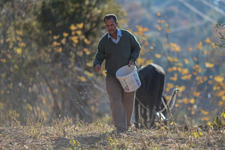 <p>Bozyazı&rsquo;dan Akseki&rsquo;ye orman kesimi i&ccedil;in geldiğini s&ouml;yleyen 2 &ccedil;ocuk babası Mehmet G&uuml;neş, ekmek parası kazanabilmek i&ccedil;in zorluklara katlandıklarını belirterek "30 yıldır kesim işi yapıyorum. Ormanda yağmur &ccedil;amur demeden kesim yapıyoruz. Babamızdan gelen ata mesleğidir. Ormandan kesiyoruz. Soyuyoruz. Trakt&ouml;rle &ccedil;ekiyoruz.</p>
