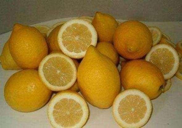 <p>Bir kilo limonda bir kilo çilekten daha fazla şeker vardır.</p>
<p> </p>