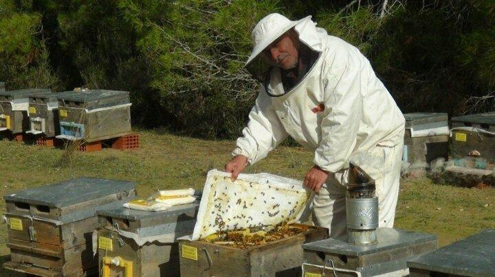 <p>Antalya Orman B&ouml;lge M&uuml;d&uuml;rl&uuml;ğ&uuml; Odun Dışı &Uuml;r&uuml;n ve Hizmetler Şube M&uuml;d&uuml;r&uuml; Abdullah Y&uuml;ksel &ldquo;Antalya Orman B&ouml;lge M&uuml;d&uuml;rl&uuml;ğ&uuml;m&uuml;z sınırlarında 2010-2020 yılları arasında 3214 hektar alan &uuml;zerine 40 bin koloni kapasitesine sahip 21 adet bal ormanı tesis edilmiştir. Bu bal ormanlarının 4 tanesi Kaş ve Finike il&ccedil;elerimizde salgı balı (&ccedil;am balı) &uuml;retiminin yapıldığı basralı alanlardan oluşmaktadır. Diğer 17 tanesi ise &ccedil;i&ccedil;ek balı &uuml;retiminin yapıldığı ballı bitkilerle kaplı alanlardan oluşmaktadır" dedi.</p>
