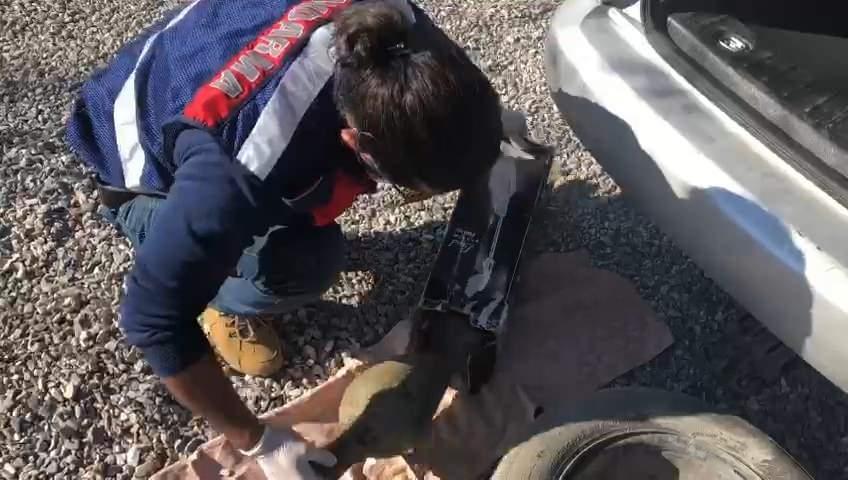 <p>Antalya&rsquo;da yasadışı yollarla ele ge&ccedil;irdikleri &ccedil;ok sayıda tarihi eseri, 3 ş&uuml;pheli Denizli&rsquo;ye getirdi.&nbsp;</p>
