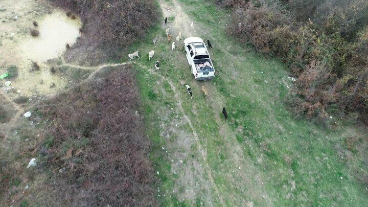<p>Samsun'da 42 yıl g&ouml;rev yaptıktan sonra emekli olan Biyoloji &Ouml;ğretmeni Fevzi Uyar, kendini sokak hayvanlarına adadı.</p>
